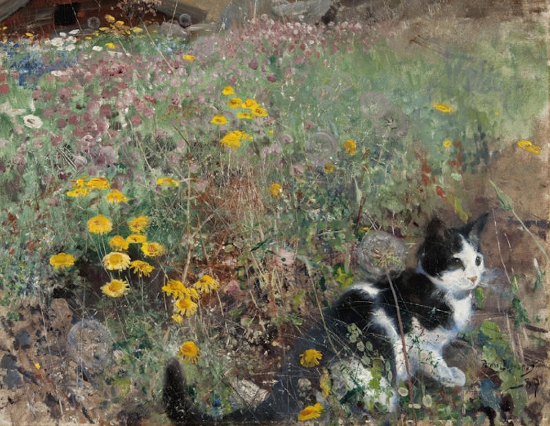 Katt på blomsteräng, målad 1887