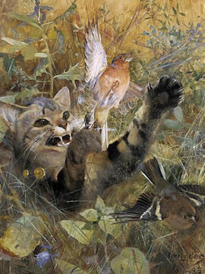 Katt och bofink målad 1885
